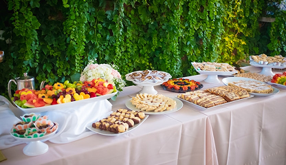 Catering Setup Rentals